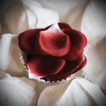 Rose petal explosion - Ptales de rose synthtiques parfumes