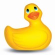 I Rub My Duckie®- 3-SPEEDS- Yellow