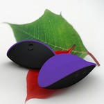Eros 6 Speed Rechargeable Leaf